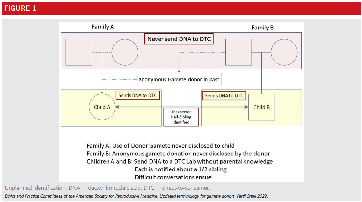 fig1-Updated terminology for.PNG