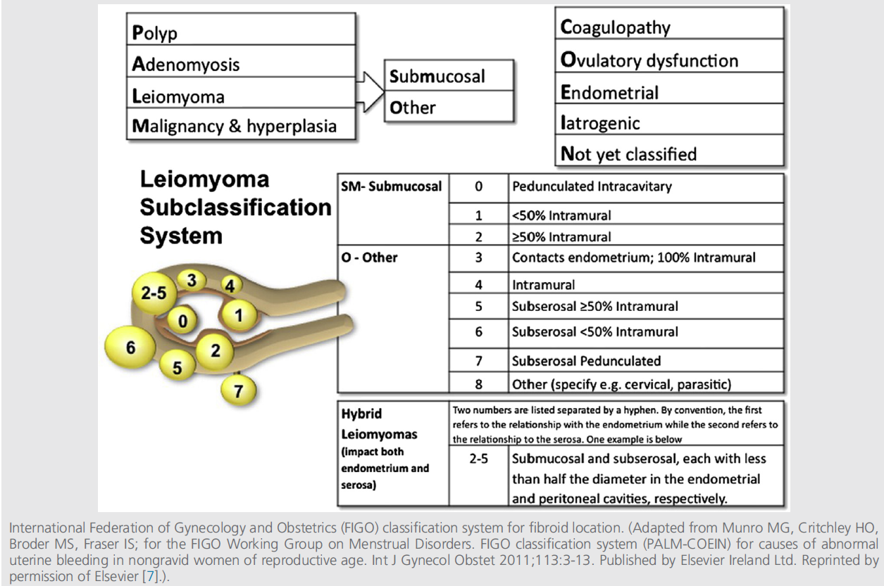 Fig1-removal-of-myomas.png