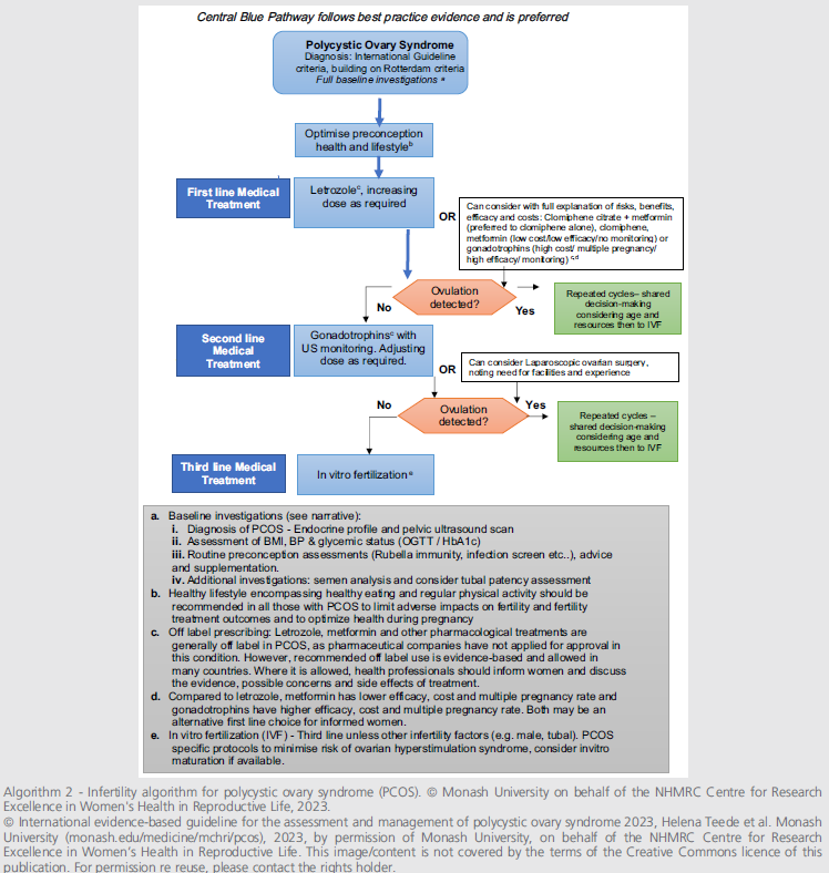 fig2-rec-from-the-2023-intnatl.png