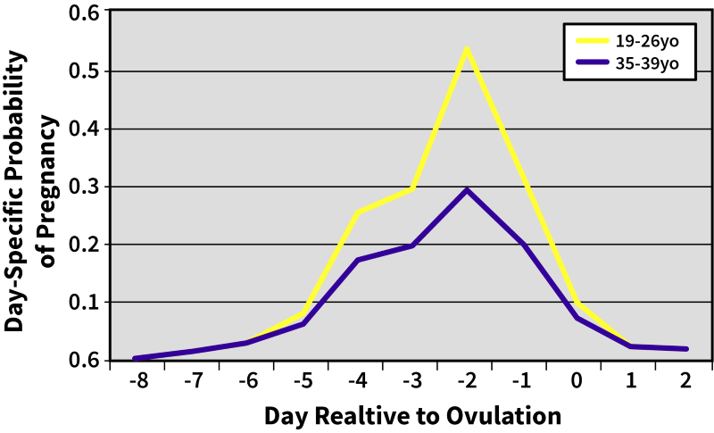 Optimizing--Fig 3.png