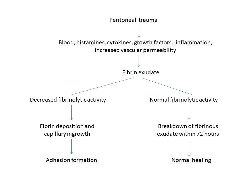 Postoperative-adhesions-in-gynecologic-surgery-Figure1.png